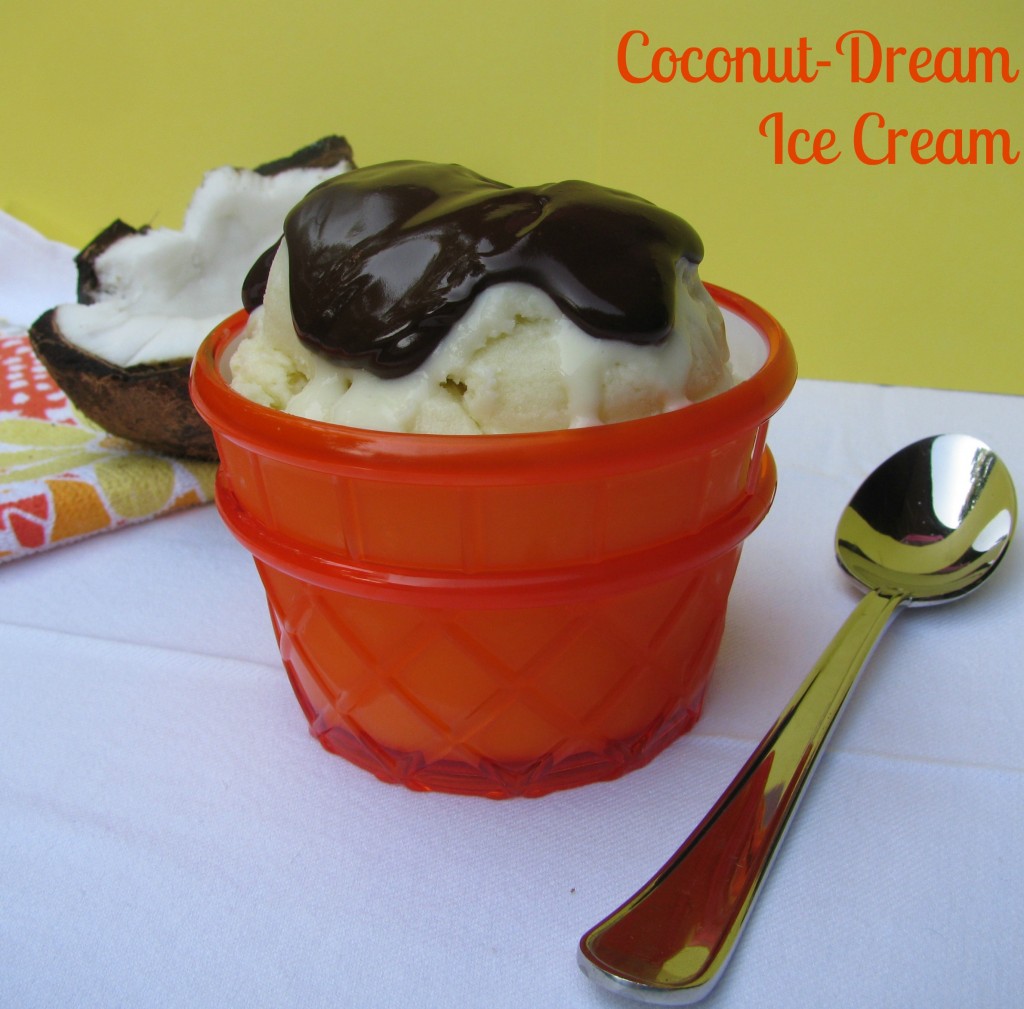 Coconut Dream Ice Cream