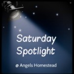SaturdaySpotlight-293x300